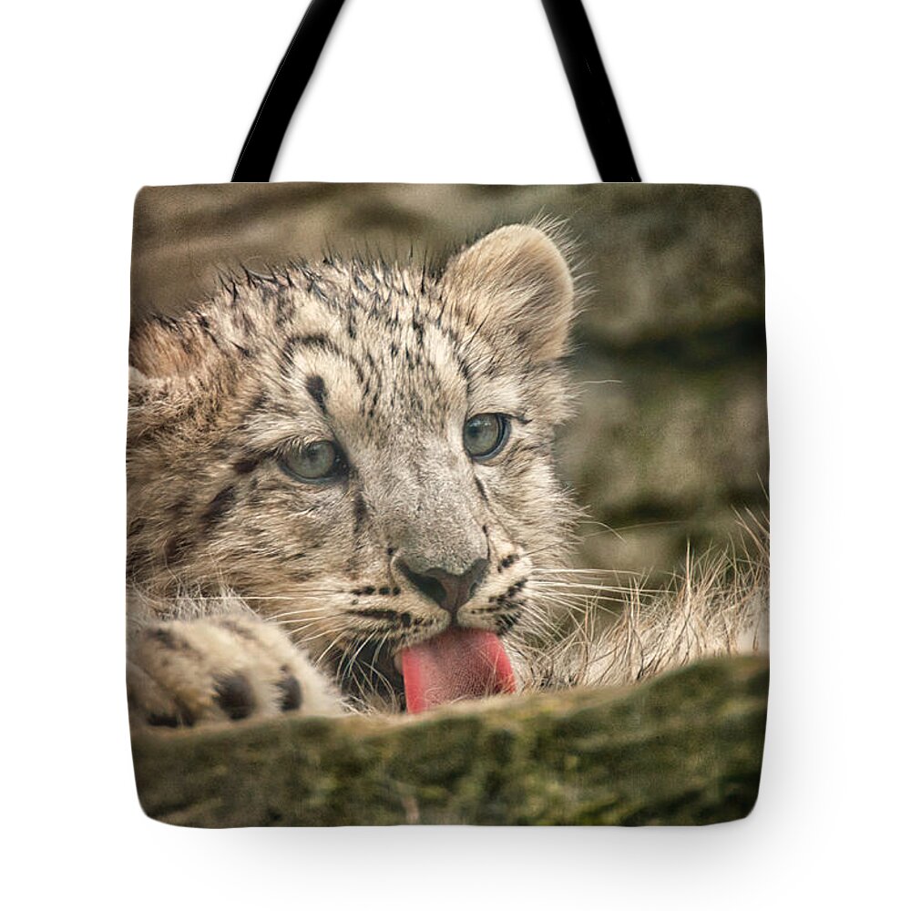 Marwell Tote Bag featuring the photograph Cub and Tongue by Chris Boulton