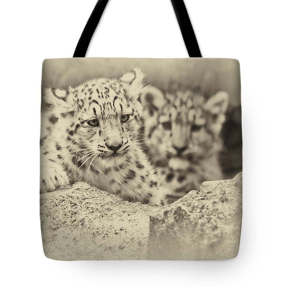 Marwell Tote Bag featuring the photograph Cubs at Play by Chris Boulton