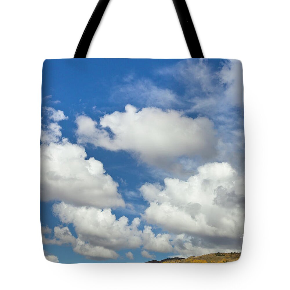 00559138 Tote Bag featuring the photograph Cumulus Clouds And Aspens by Yva Momatiuk John Eastcott
