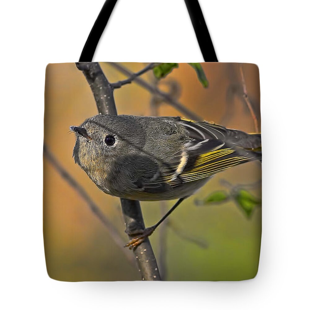 Yellow Tote Bag featuring the photograph Curiosity by Gary Holmes