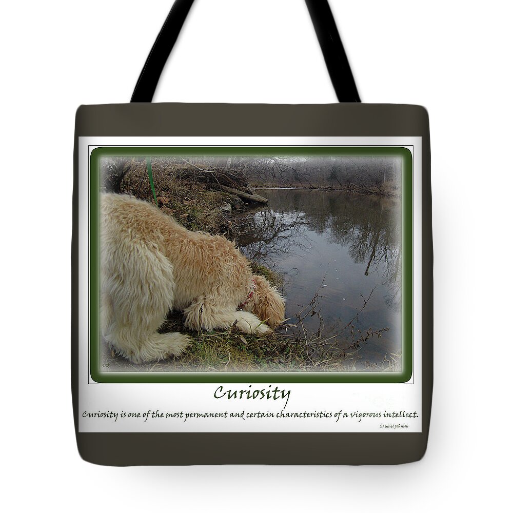 Multi- Generational Labradoodle Tote Bag featuring the photograph Curiosity of a Puppy by Sandra Clark