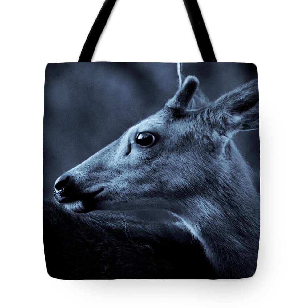 Deer Tote Bag featuring the photograph Curious by Adria Trail