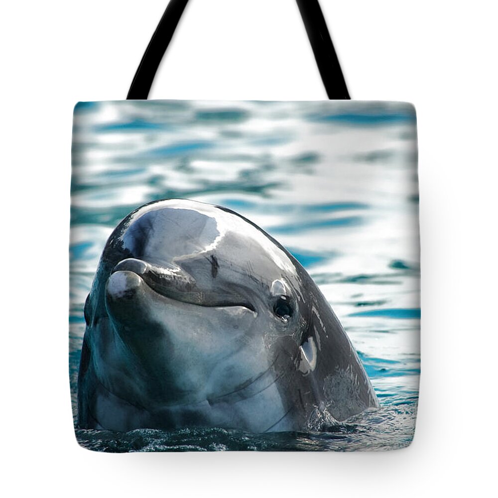 Dolphin Tote Bag featuring the photograph Curious dolphin by Mariola Bitner