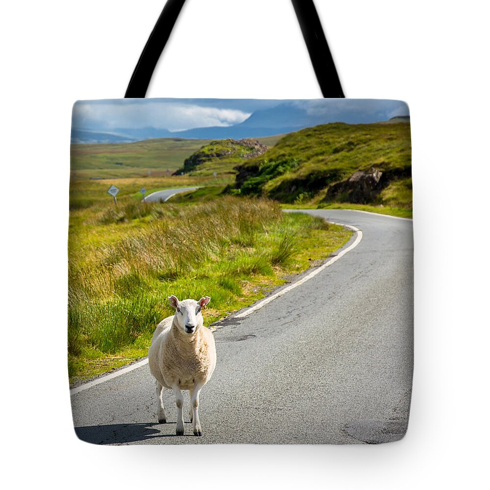 Scotland Tote Bag featuring the photograph Curious Sheep On Scottish Road by Andreas Berthold