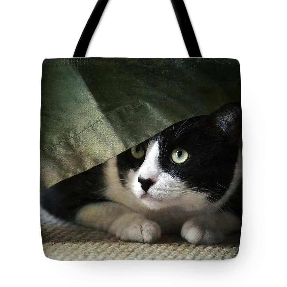 Cat Tote Bag featuring the photograph Curtain Call by Fraida Gutovich