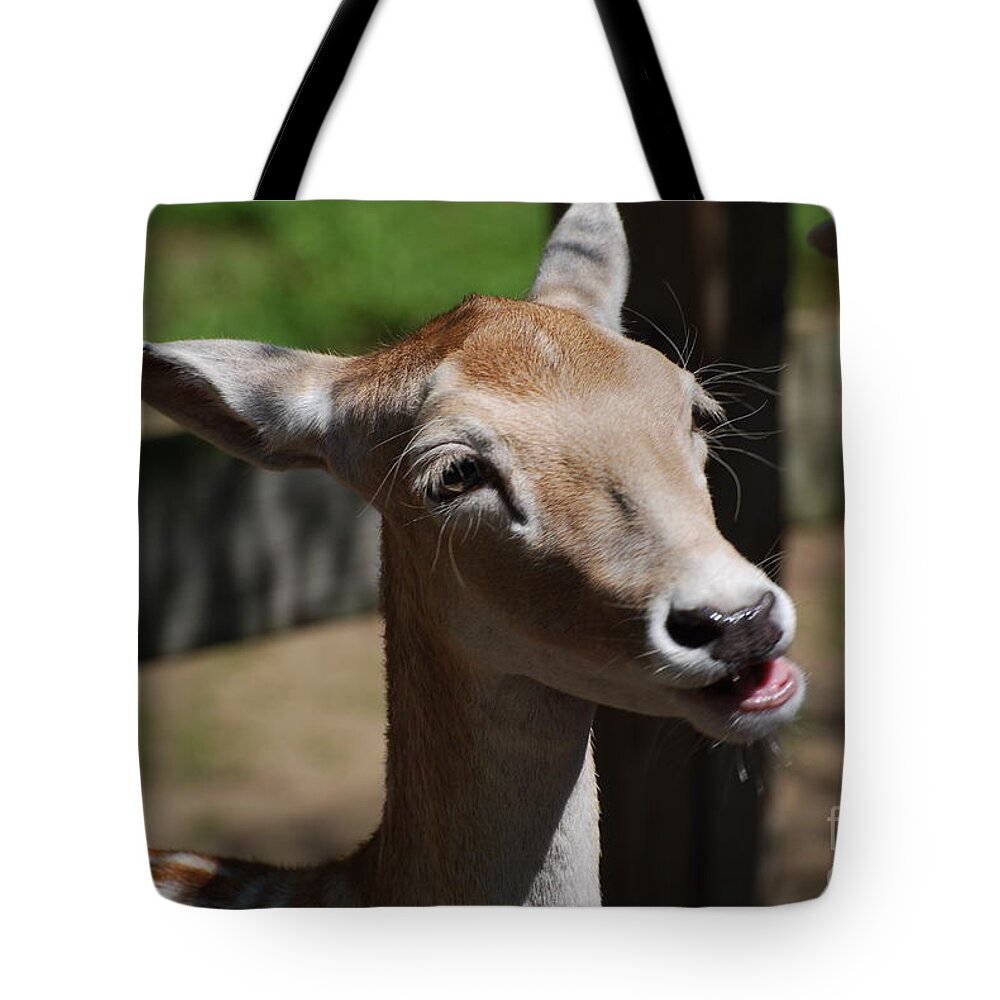 Deer Tote Bag featuring the photograph Cute Deer by DejaVu Designs