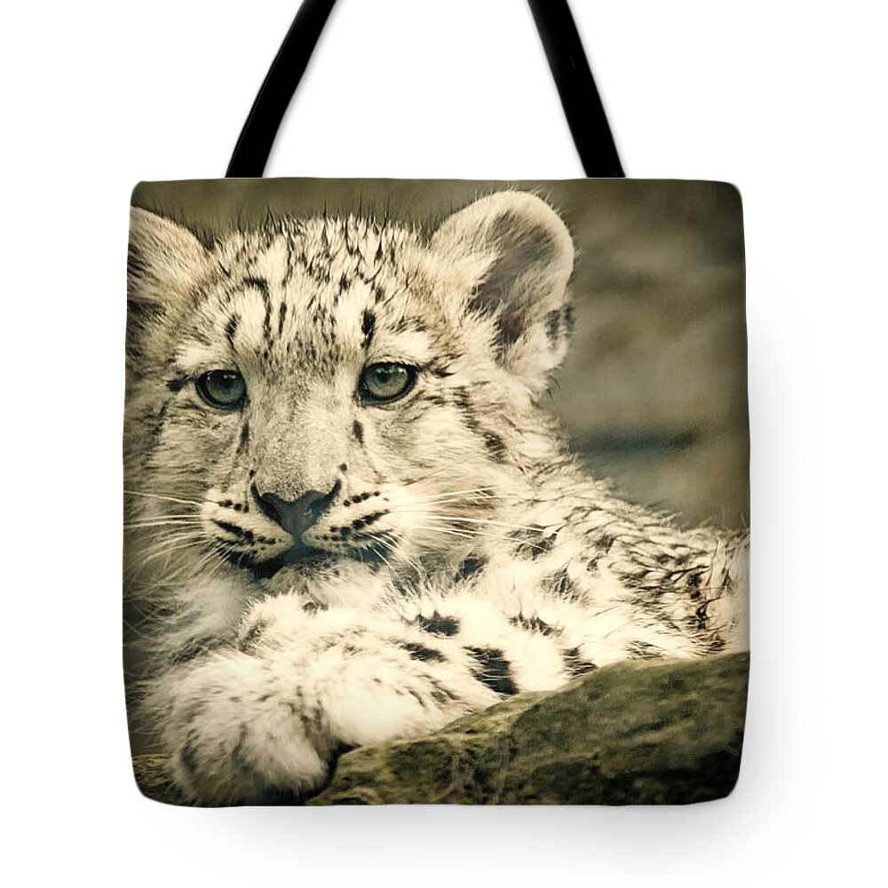 Marwell Tote Bag featuring the photograph Cute Snow Cub by Chris Boulton