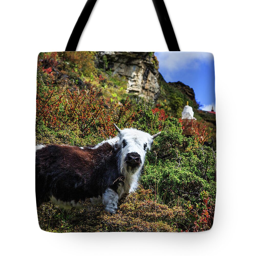 Animal Themes Tote Bag featuring the photograph Cute Yak, Sagarmatha National Park by Feng Wei Photography