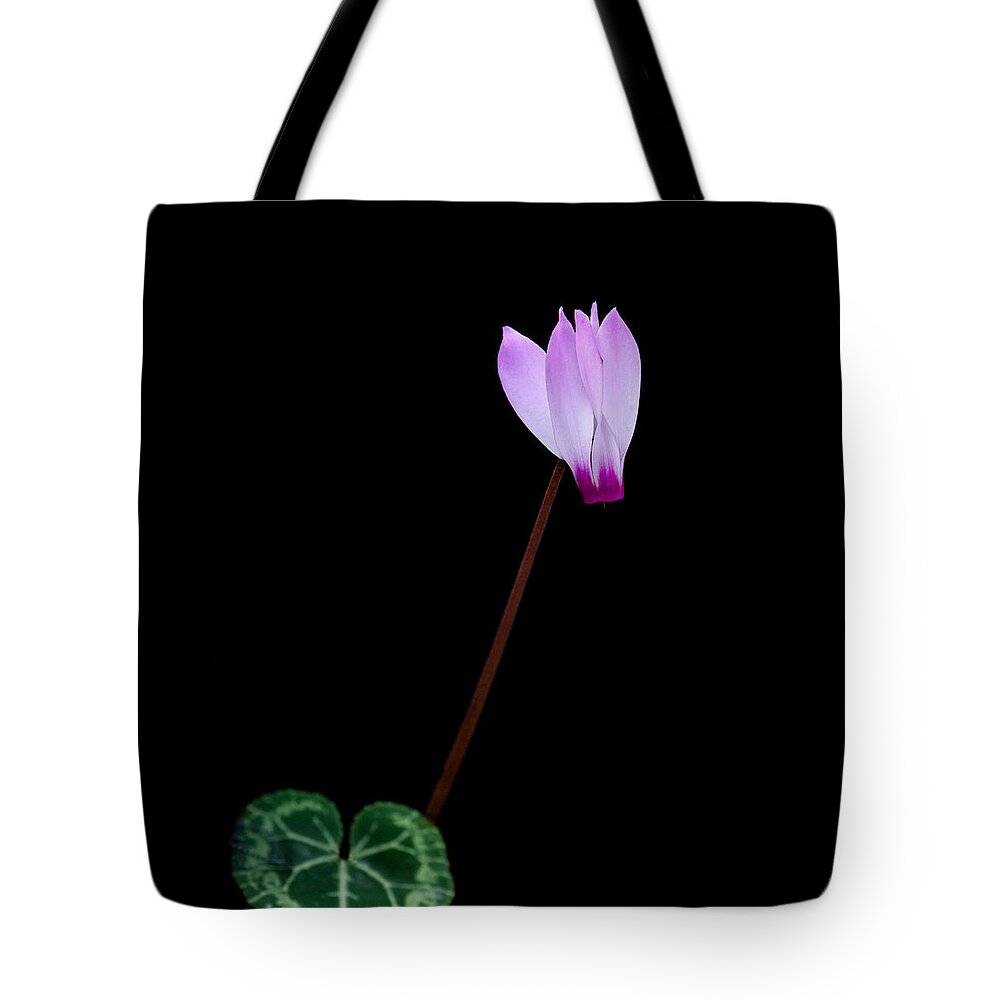 Flower Tote Bag featuring the photograph Pink Cyclamen flower by Michalakis Ppalis