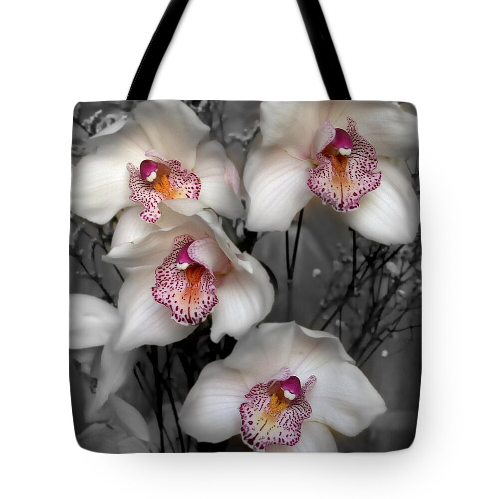 Flowers Tote Bag featuring the photograph Cymbidium Orchid White I Still Life Flower Art Poster by Lily Malor