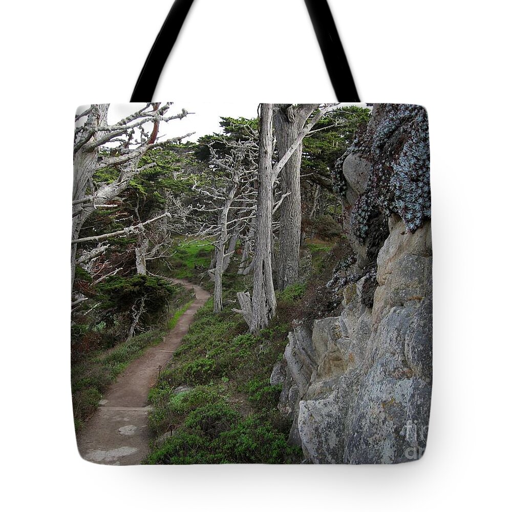 Point Lobos Tote Bag featuring the photograph Cypress Grove Trail by James B Toy