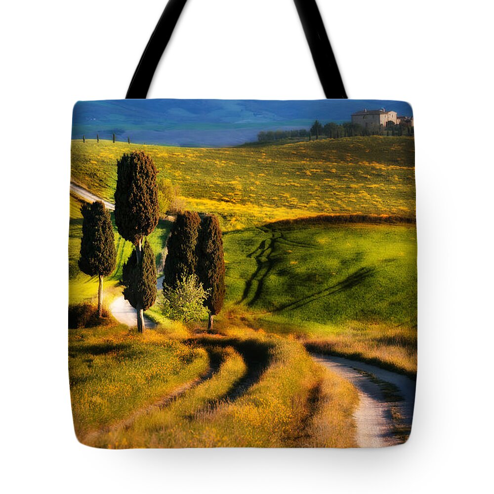 Cypryss Tote Bag featuring the photograph Cypresses of Toscany by Jaroslaw Blaminsky