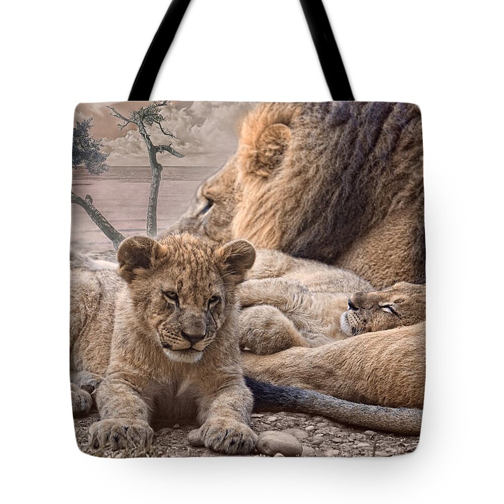 Animals Tote Bag featuring the photograph Daddy cool by Joachim G Pinkawa