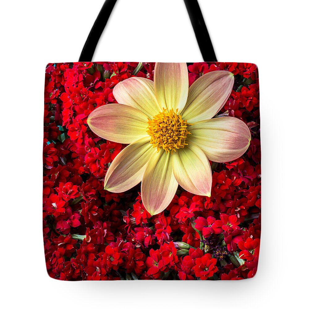 Dahlia Tote Bag featuring the photograph Dahlia and Kalanchoe by Garry Gay