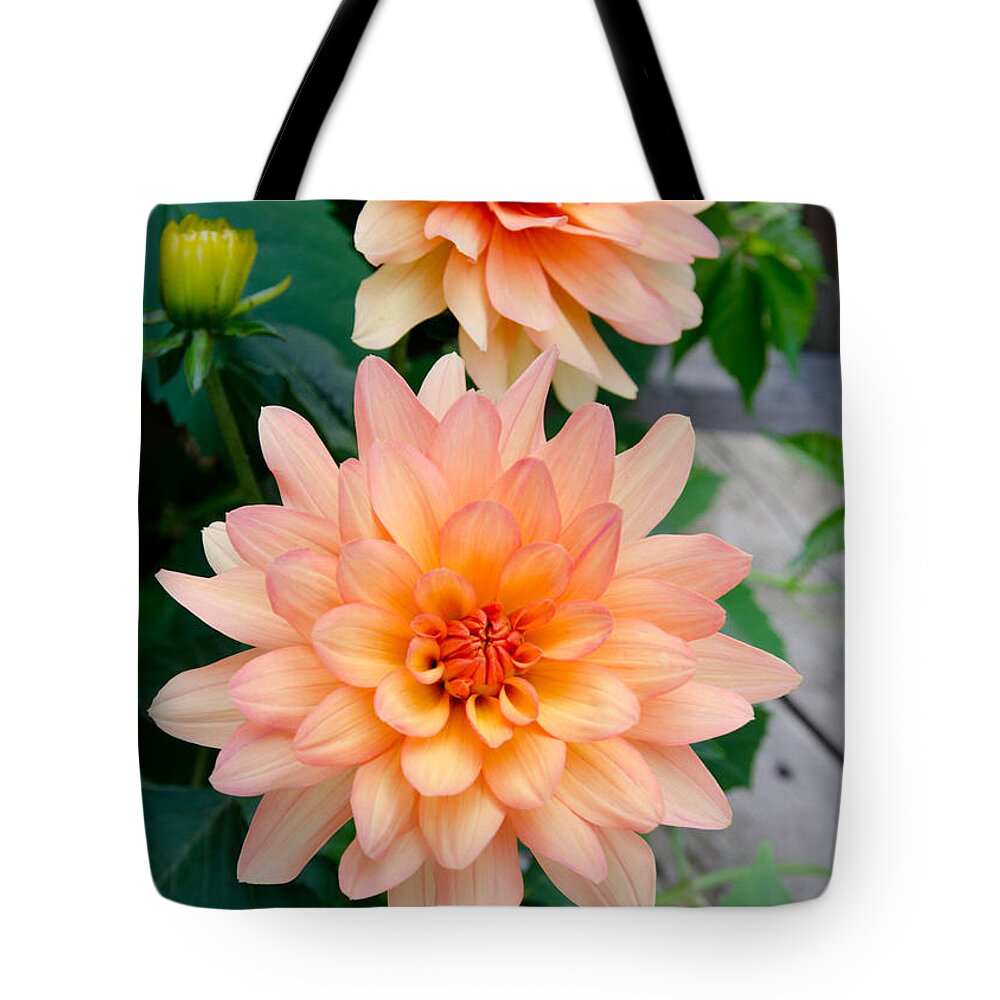 Dahlia Tote Bag featuring the photograph Dahlias by Laurel Best