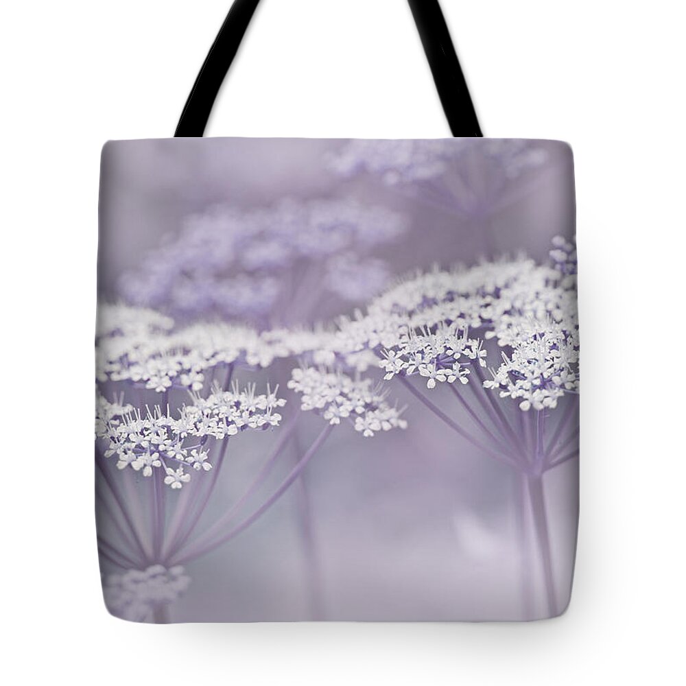 Queen Anne's Lace Tote Bag featuring the photograph Dainty White Flowers Lavender by Jennie Marie Schell
