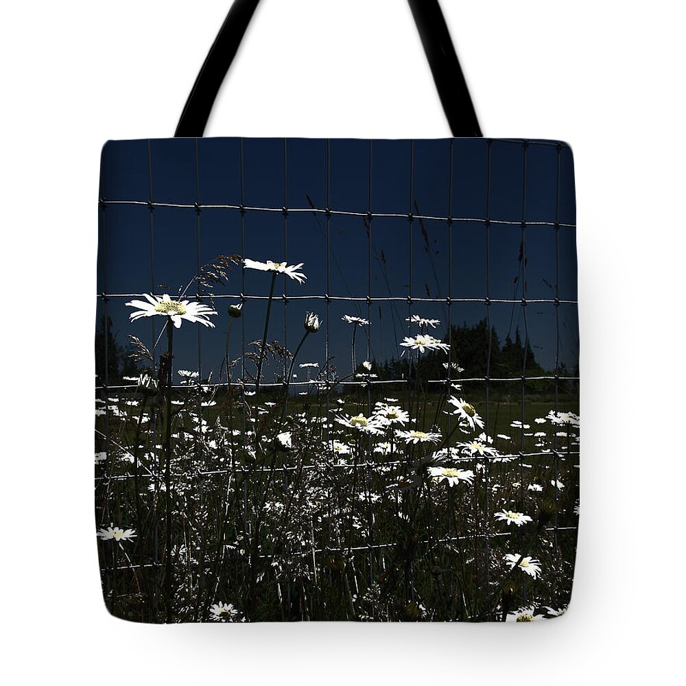 Daisies Tote Bag featuring the photograph Daisies At The Fence by Marie Jamieson