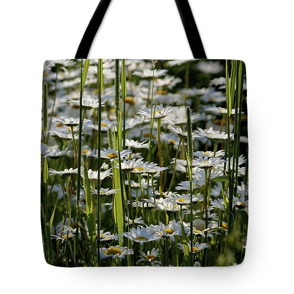 Daisies Tote Bag featuring the photograph Daisies by Jim Gillen