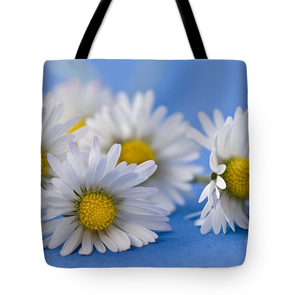 Bloom Tote Bag featuring the photograph Daisies on Blue by Jan Bickerton