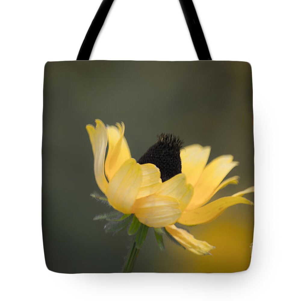 Daisy Tote Bag featuring the photograph Daisy by Angela DeFrias