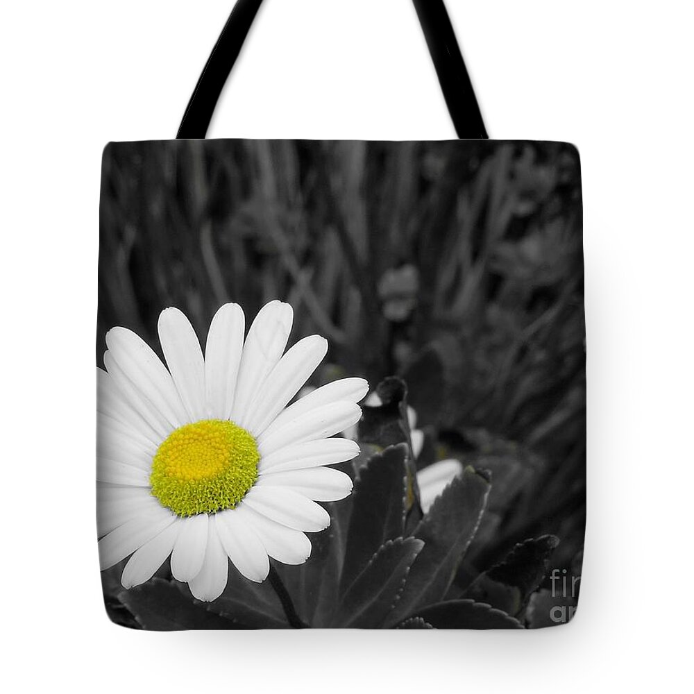 Daisy Tote Bag featuring the photograph Daisy by Chad and Stacey Hall