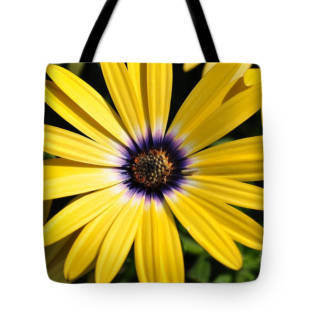 Daisy Tote Bag featuring the photograph Daisy by Gwen Gibson