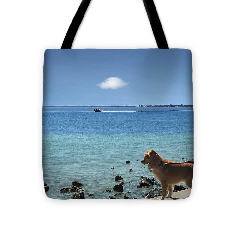 Dog Tote Bag featuring the photograph Daisy by R B Harper