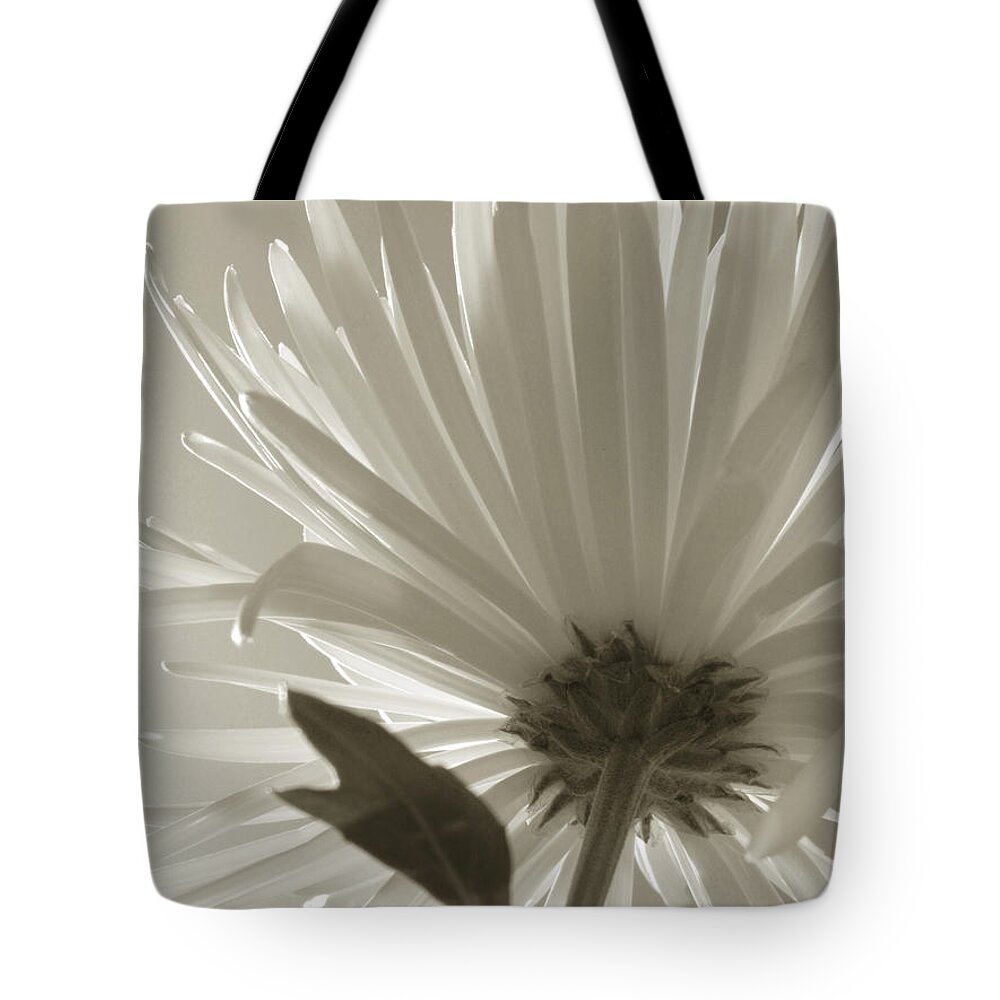 Flowers Tote Bag featuring the photograph Daisy Sepia Abstract by Joseph Hedaya
