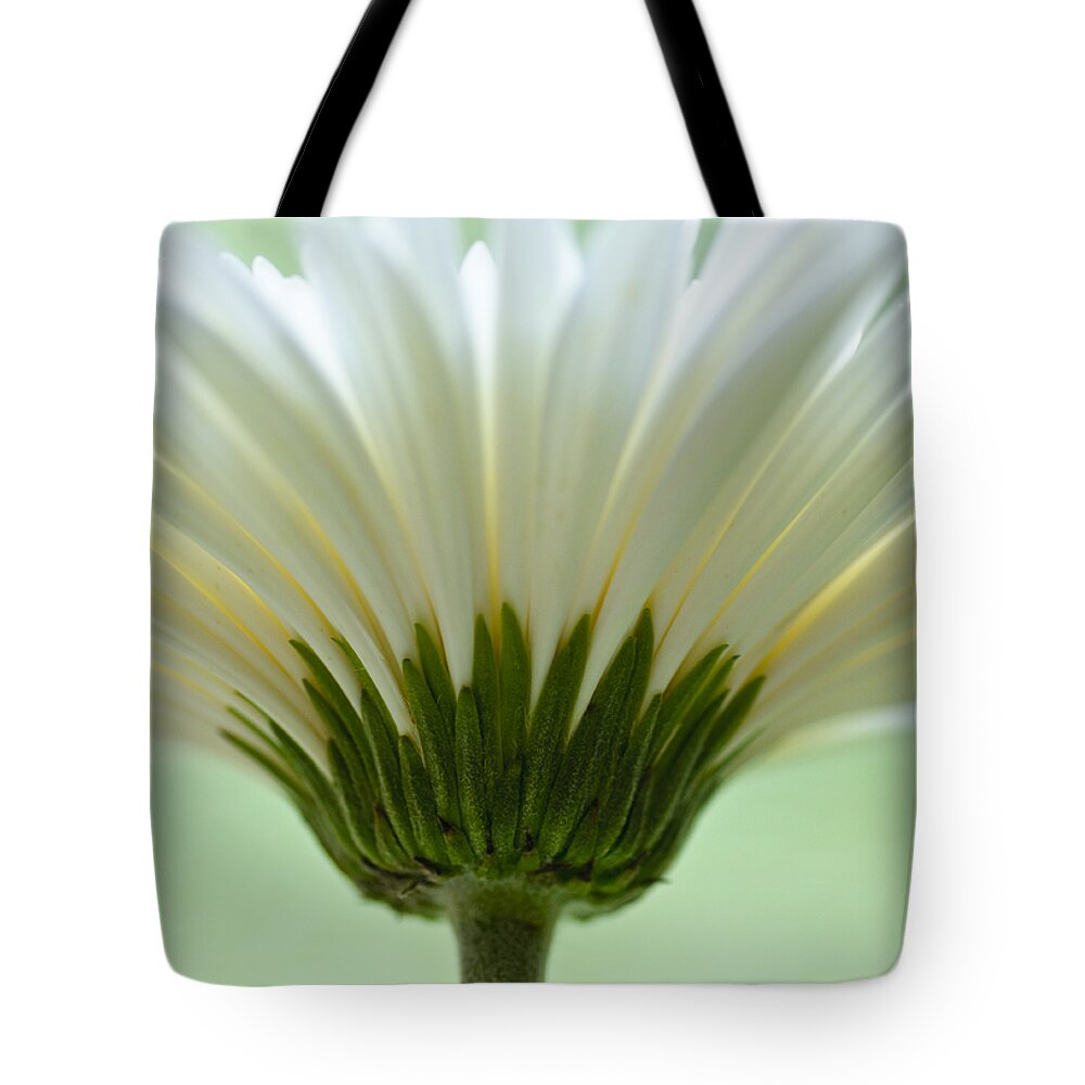 Asteraceae Tote Bag featuring the photograph Daisy Sweetness by Christi Kraft