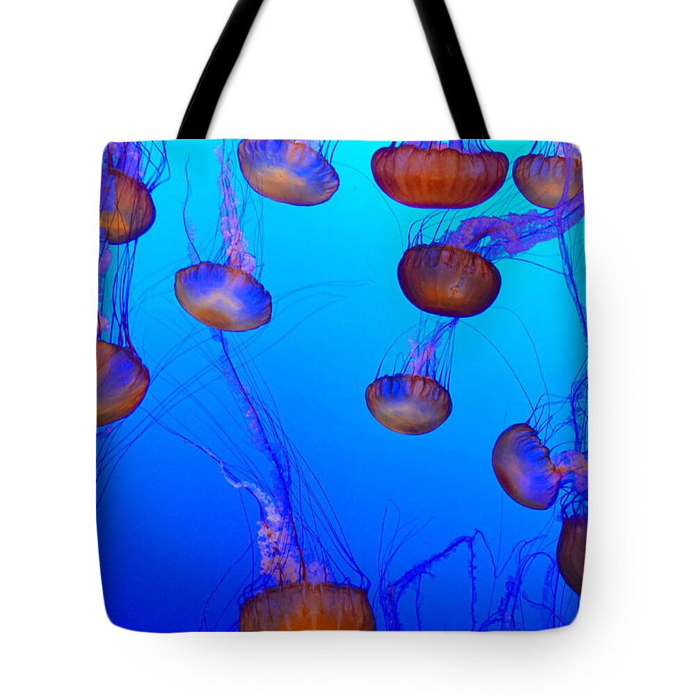 Jellyfish Tote Bag featuring the photograph Dance of the Jellyfish by Spencer Hughes