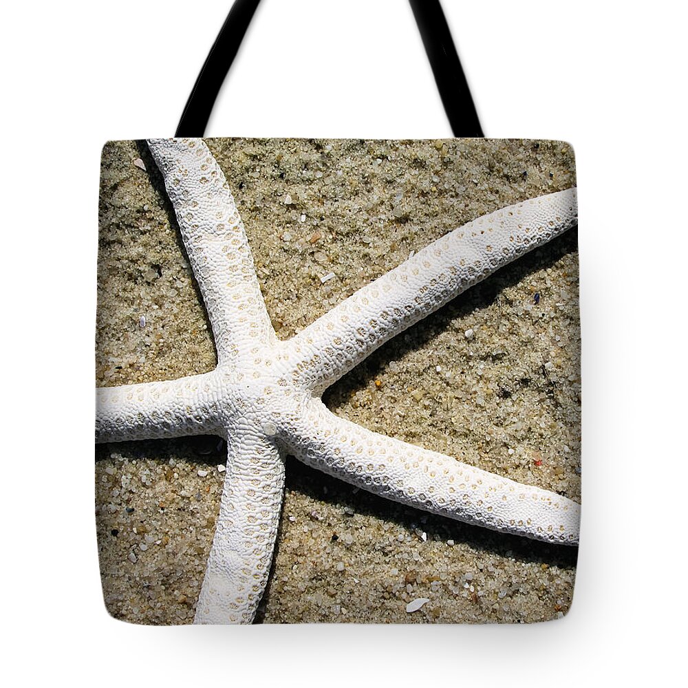 Starfish Tote Bag featuring the photograph Dance of the Starfish by Colleen Kammerer