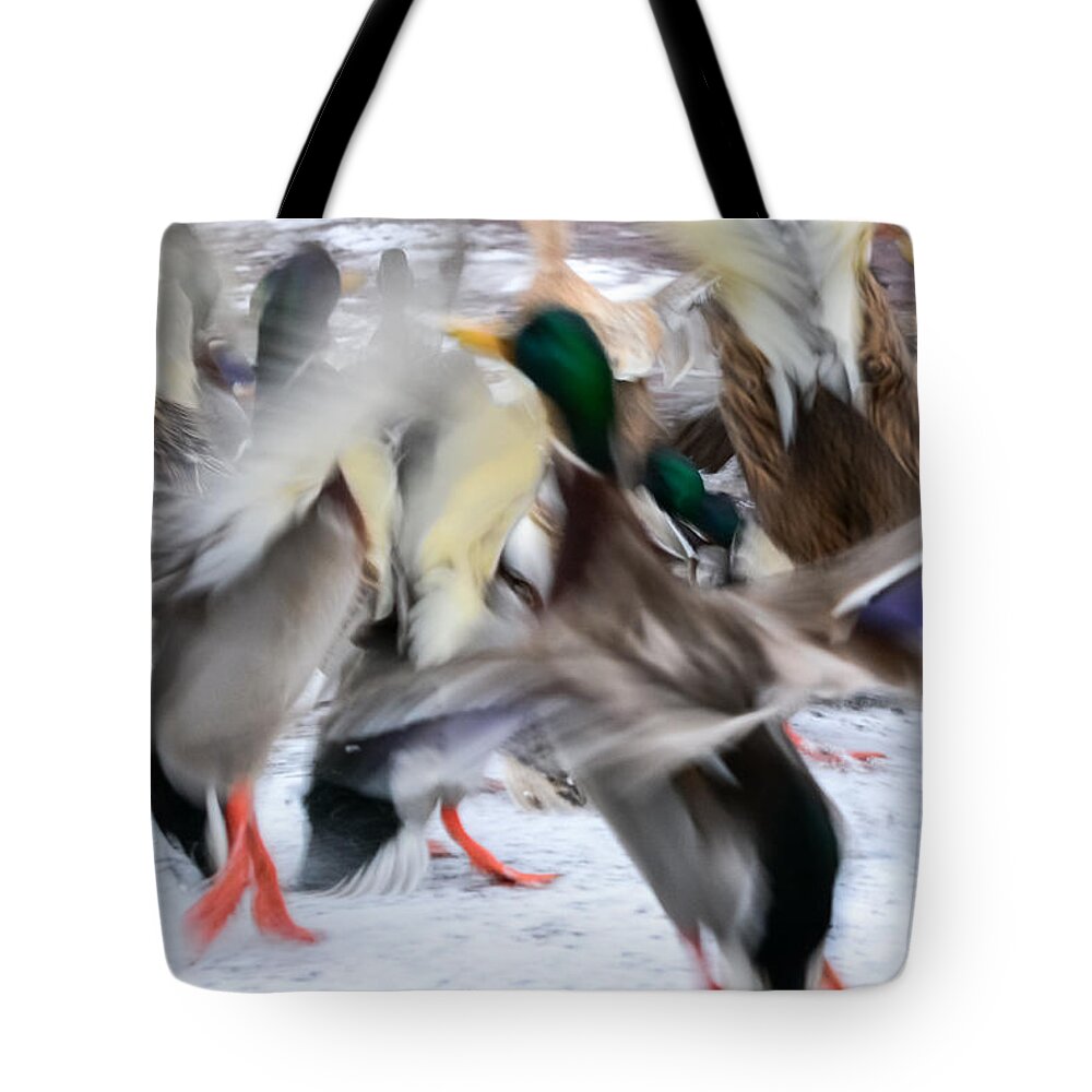 Mallards Tote Bag featuring the photograph Dancing Ducks by Holden The Moment