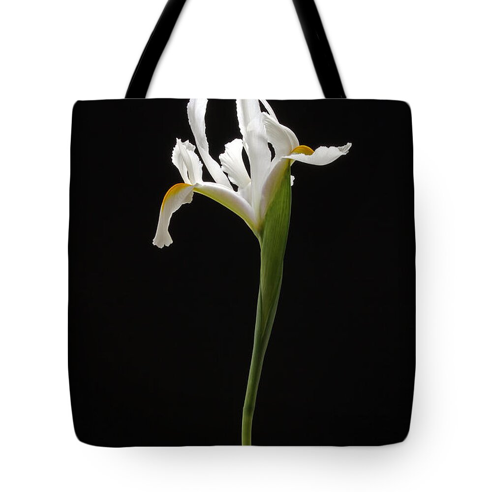 Dancing In The Dark Tote Bag featuring the photograph Dancing in the Dark by Juergen Roth