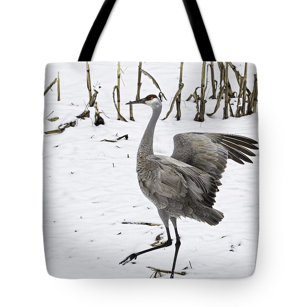 Sandhill Crane Tote Bag featuring the photograph Dancing Sandhill Crane by Thomas Young