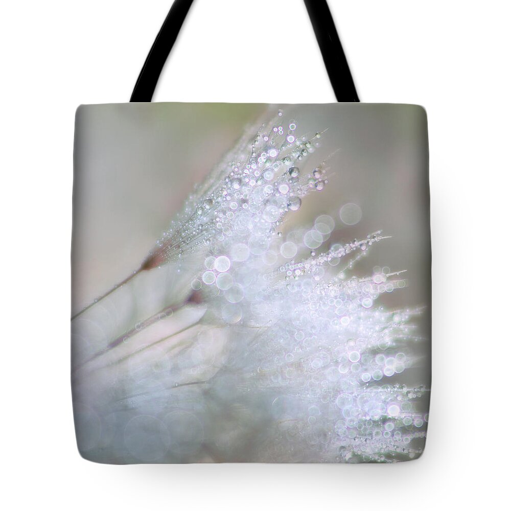 Dandelion Tote Bag featuring the photograph Dandelion Bling Bokeh by Peggy Collins