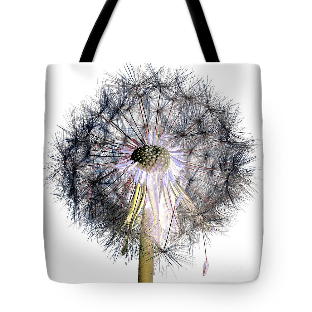 Picture Tote Bag featuring the photograph Dandelion Clock No.1 by Tony Mills