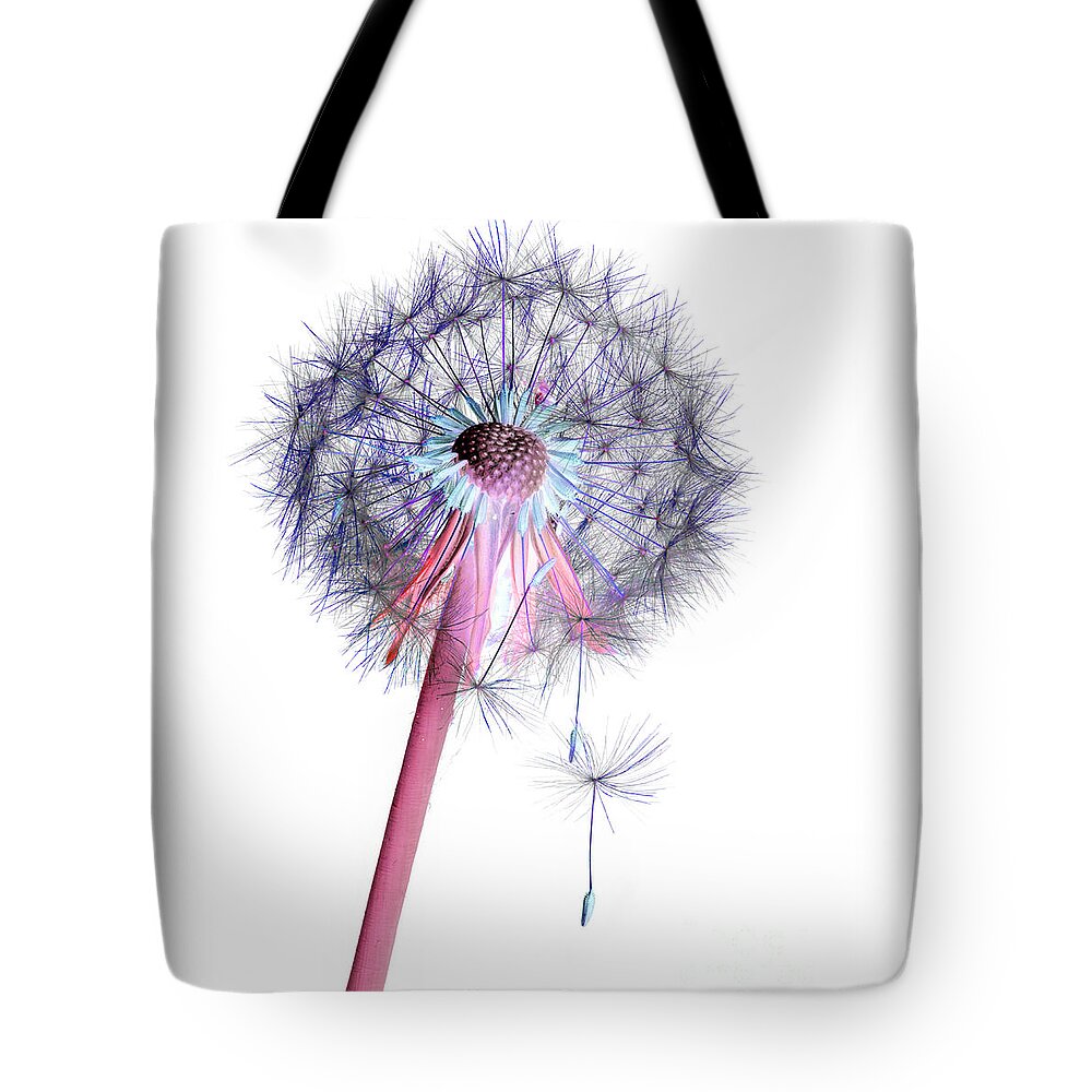Photo Tote Bag featuring the photograph Dandelion Clock No.2 by Tony Mills