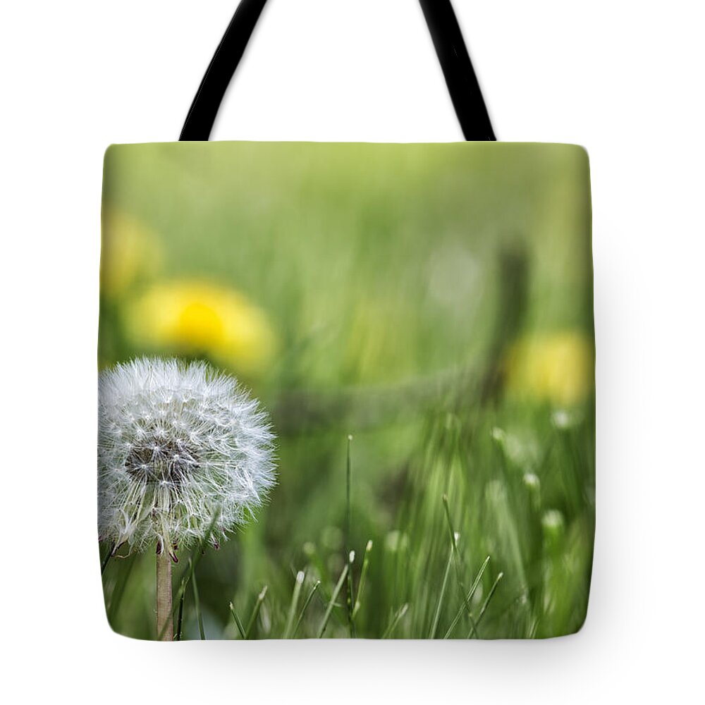 Dandelion Tote Bag featuring the photograph Dandelion Don't Tell No Lies by Belinda Greb
