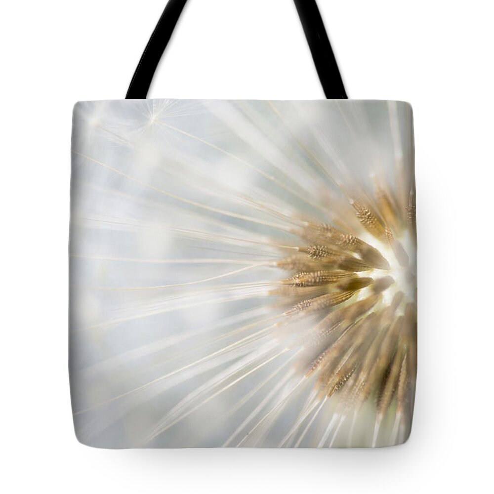 Nis Tote Bag featuring the photograph Dandelion Seedhead Noord-holland by Mart Smit