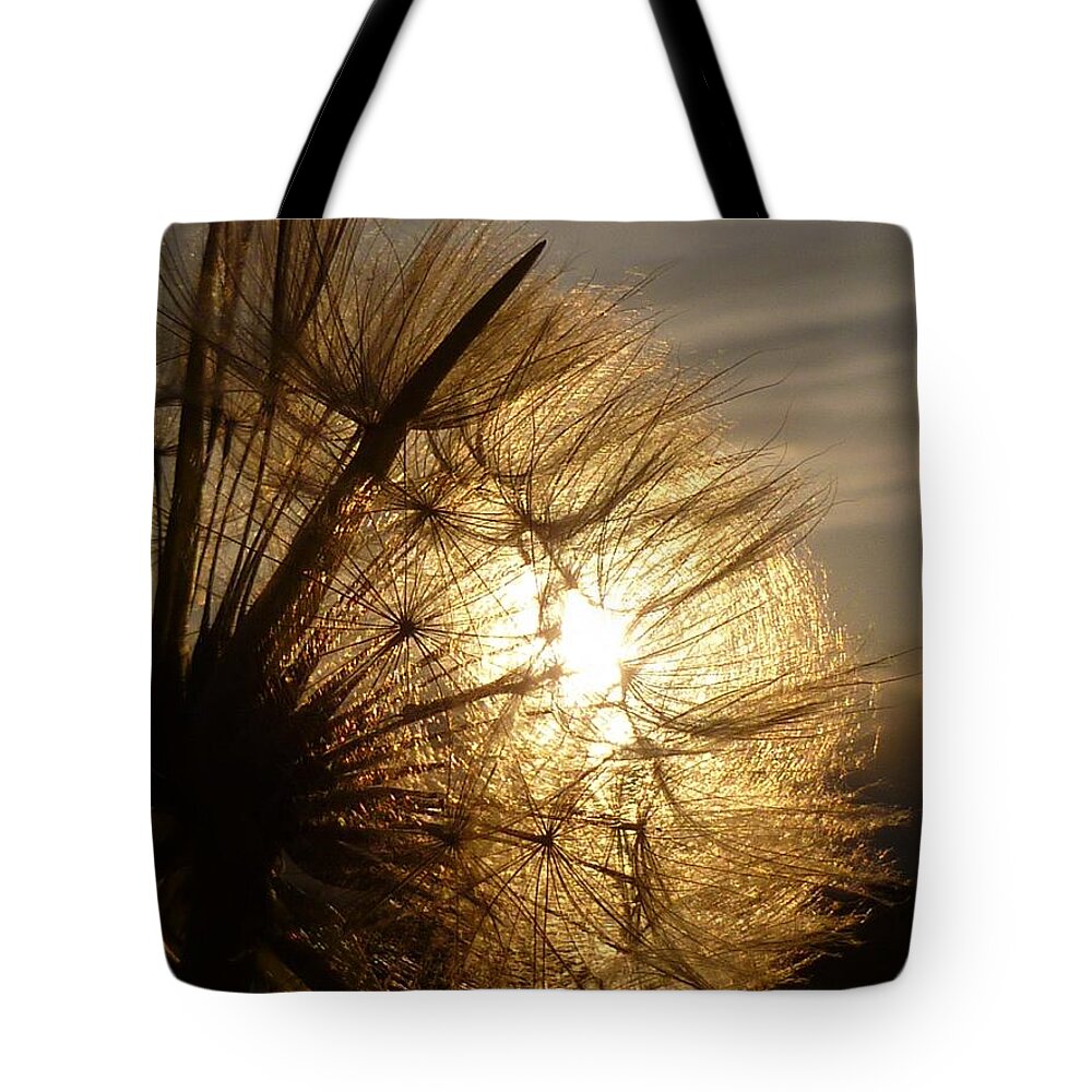 Dandelion Tote Bag featuring the photograph Dandelion Sunset by Vicki Spindler