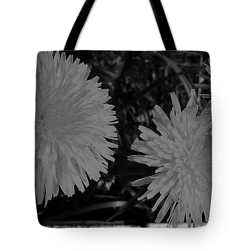 Dandelion Tote Bag featuring the photograph Dandelion Weeds? b/w by Martin Howard