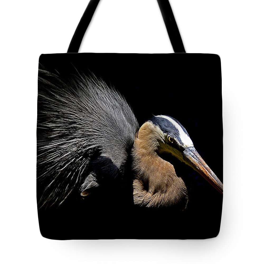 Heron Tote Bag featuring the photograph Dappled Light by Stuart Harrison