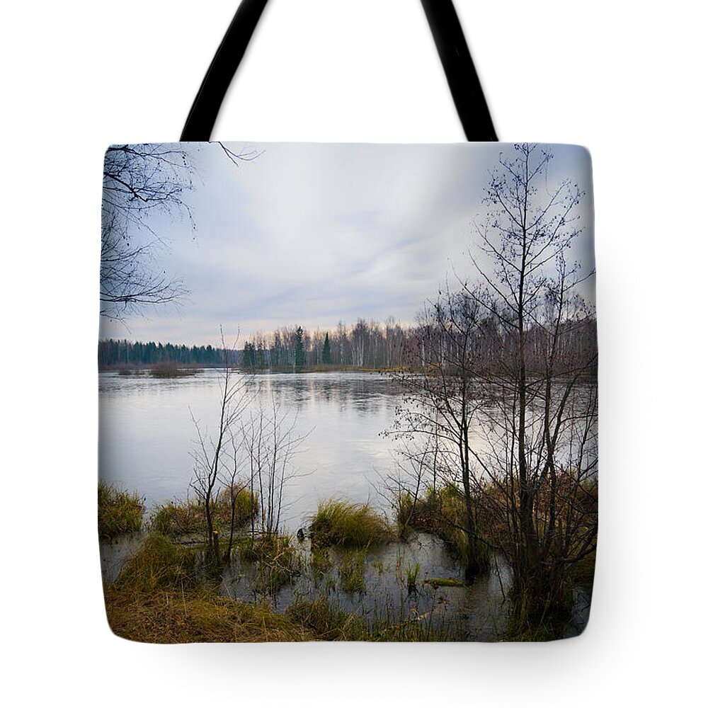 Water's Edge Tote Bag featuring the photograph Dark Early Winter Landscape With Great by Alexkotlov