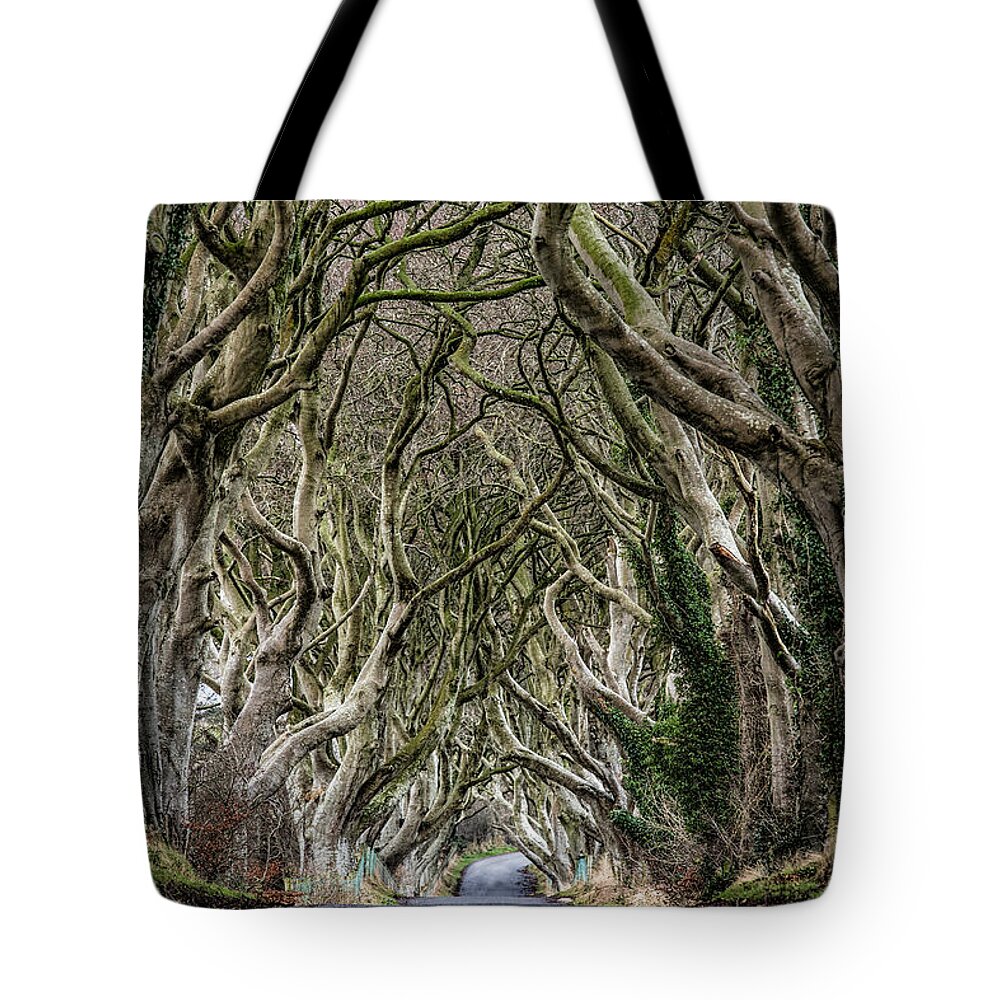 Dark Hedges Tote Bag featuring the photograph Dark Hedges by Nigel R Bell