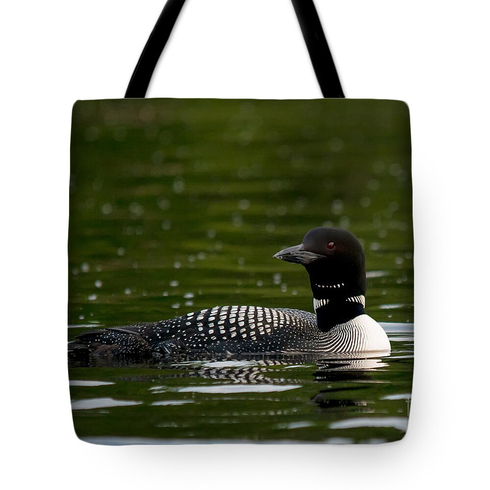 Loon Tote Bag featuring the photograph Dark Loon by Cheryl Baxter