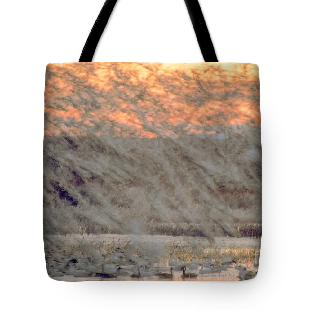 Birds Tote Bag featuring the photograph Dawn liftoff by Steven Ralser