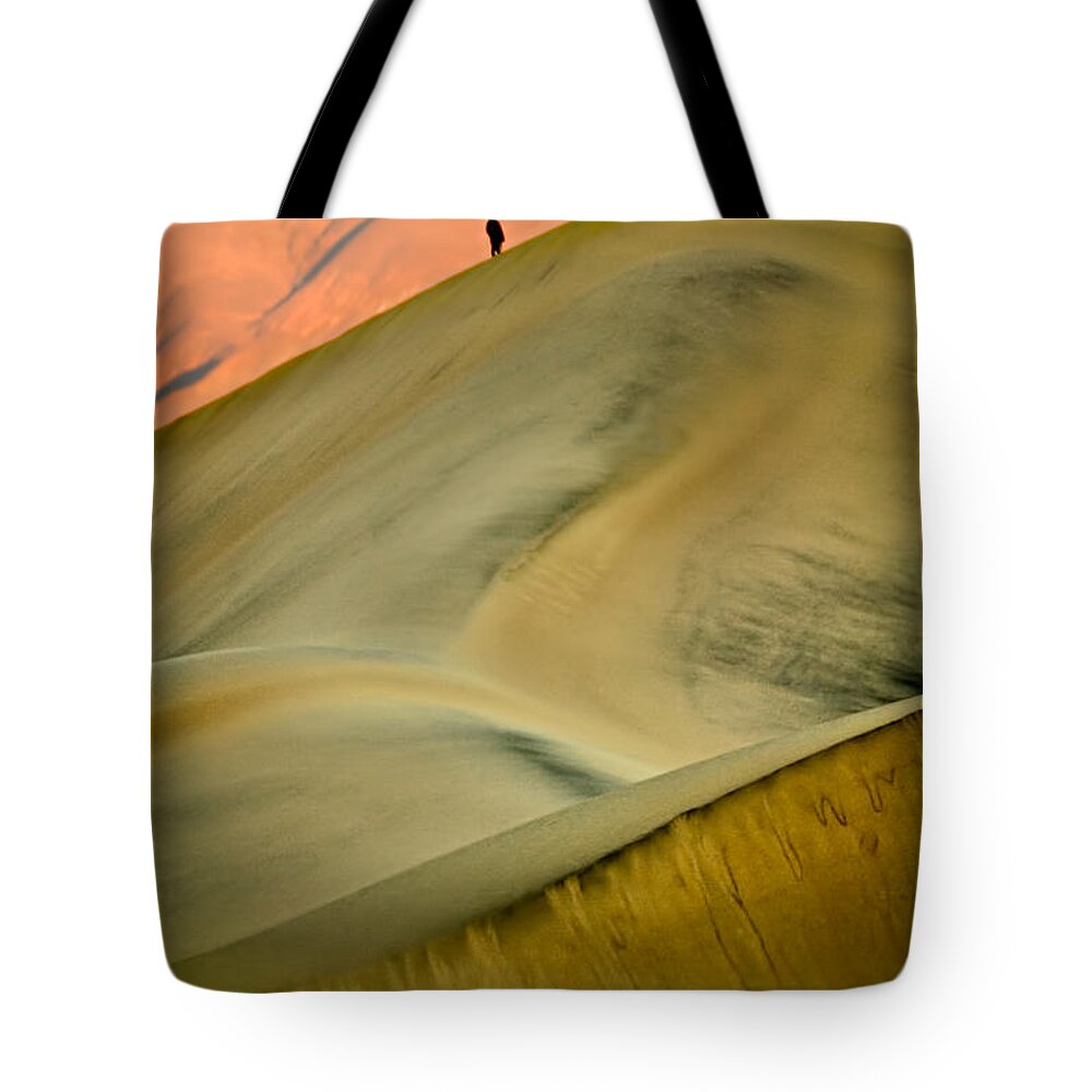 2006 Tote Bag featuring the photograph Dawn Viewers at Death Valley by Robert Charity