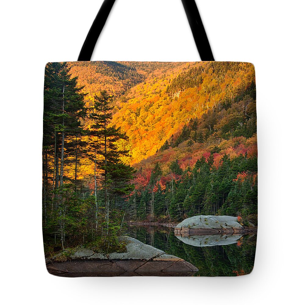 Beaver Pond Tote Bag featuring the photograph Dawns foliage reflection by Jeff Folger