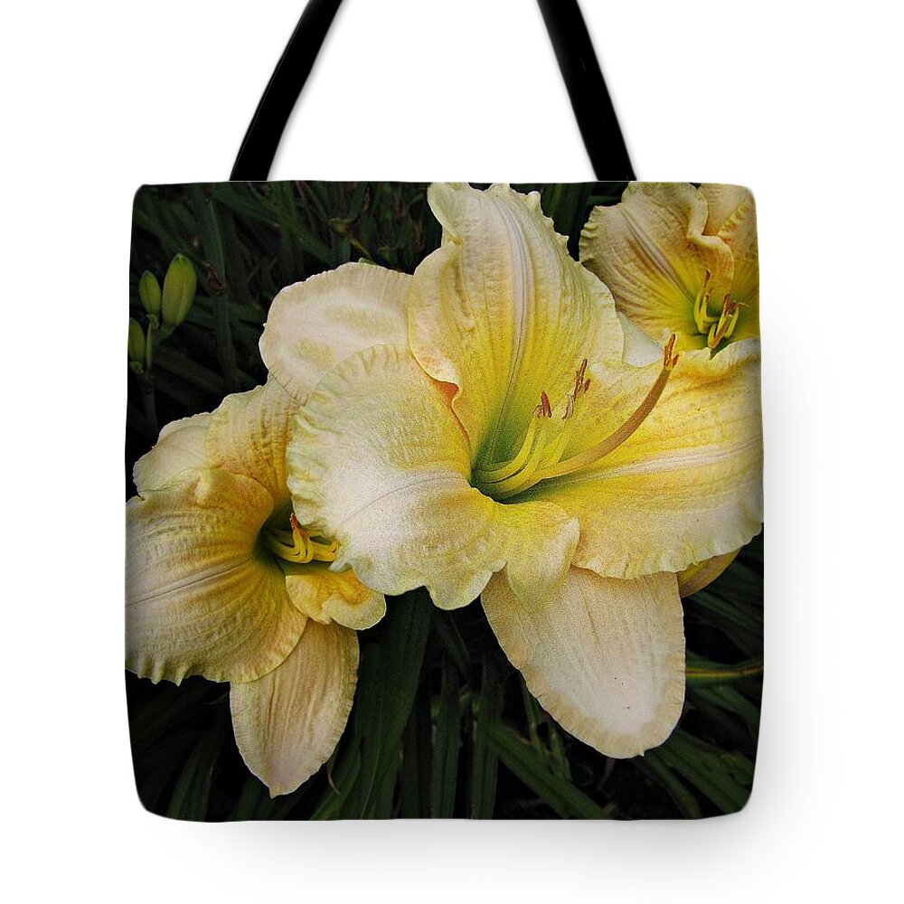 Day Lilies Tote Bag featuring the photograph Day lilies a short life by David Dehner
