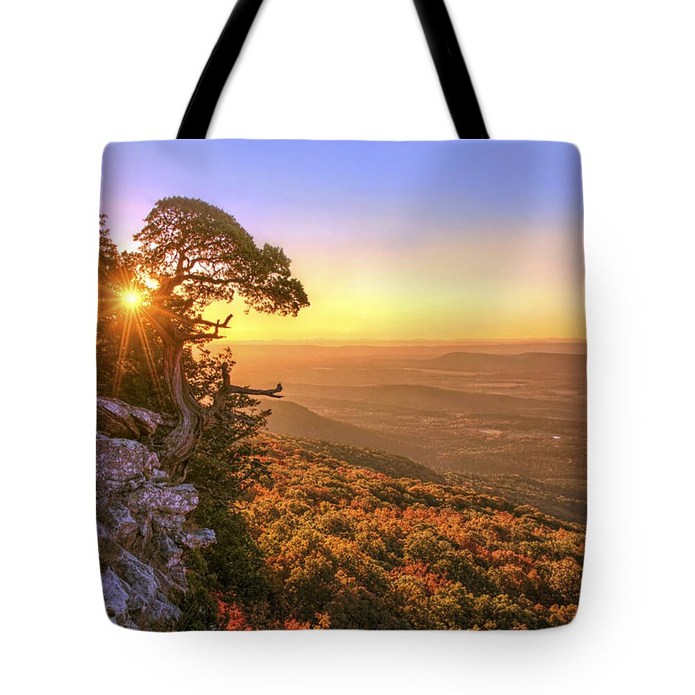 Mt. Magazine Tote Bag featuring the photograph Daybreak on Mt. Magazine - Arkansas - Cedar Tree - Autumn by Jason Politte